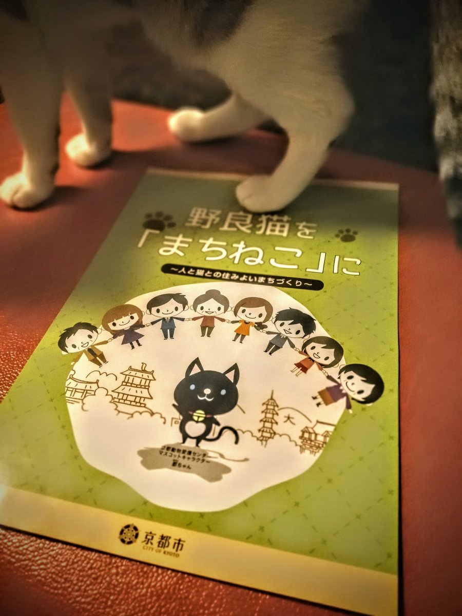 hitoshina11047 tweet picture