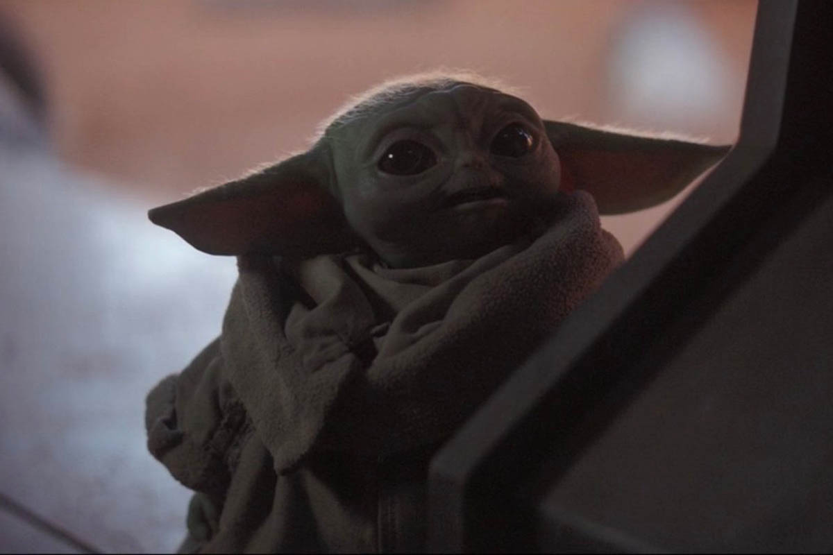 nyxscape's tweet photo. Until we have more to go on, say hello to baby species unknown. #StarWars #TheMandalorian #notyoda https://t.co/xj3AJ7EAK1