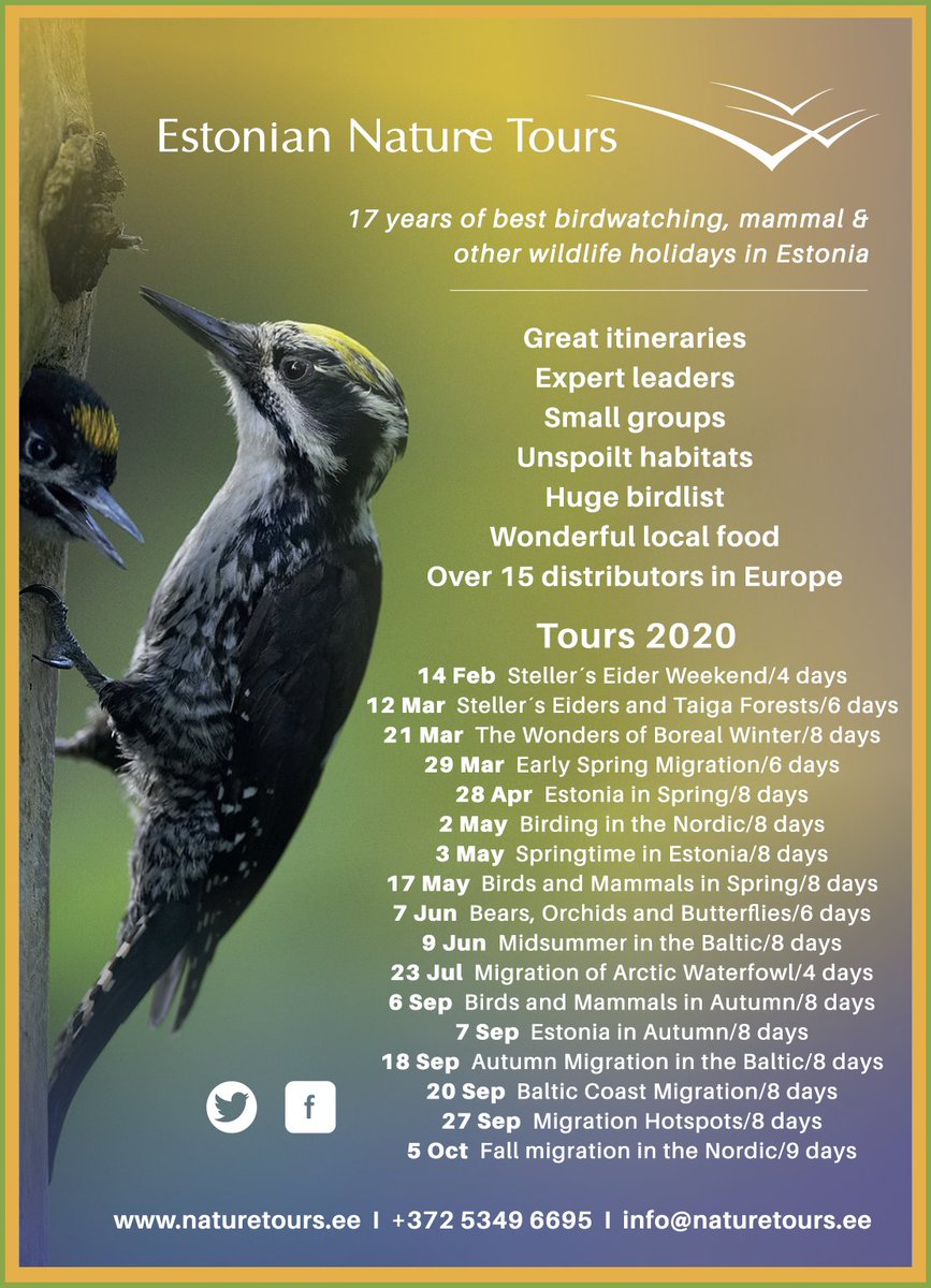 The selection of Birdwatching &amp; other Wildlife holidays now available for 2020: bit.ly/2CRZG08 ENT has been a pioneer in developing nature tourism throughout Estonia - the 1st birdwatching tour company ever in this small country! #birdwatching #birds #woodpecker #Estonia