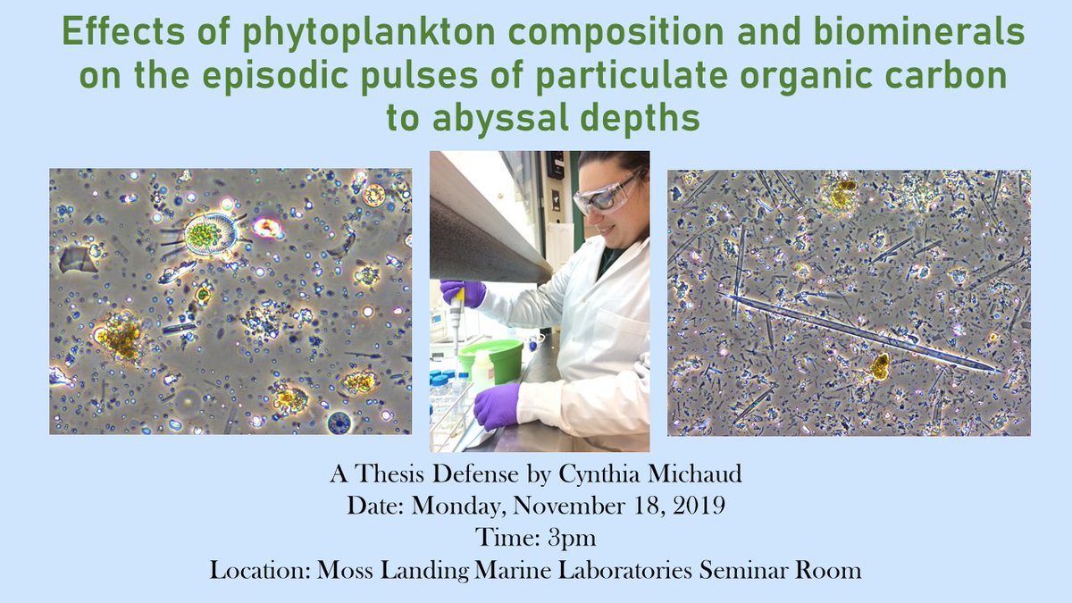 MLMLmarinesci's tweet photo. Who's got 2 great pipetting thumbs & a thesis to defend? 👇Cynthia Michaud👍 of the Physical Oceanography lab! We at MLML are proud to share that Cynthia will defend her thesis this afternoon.
#GradLife #MLMLalumni #SJSU #SJSUpride #SJSUpower #CSUsuccess #MLMLthesis #MLMLresearch https://t.co/BEZ4IginpR