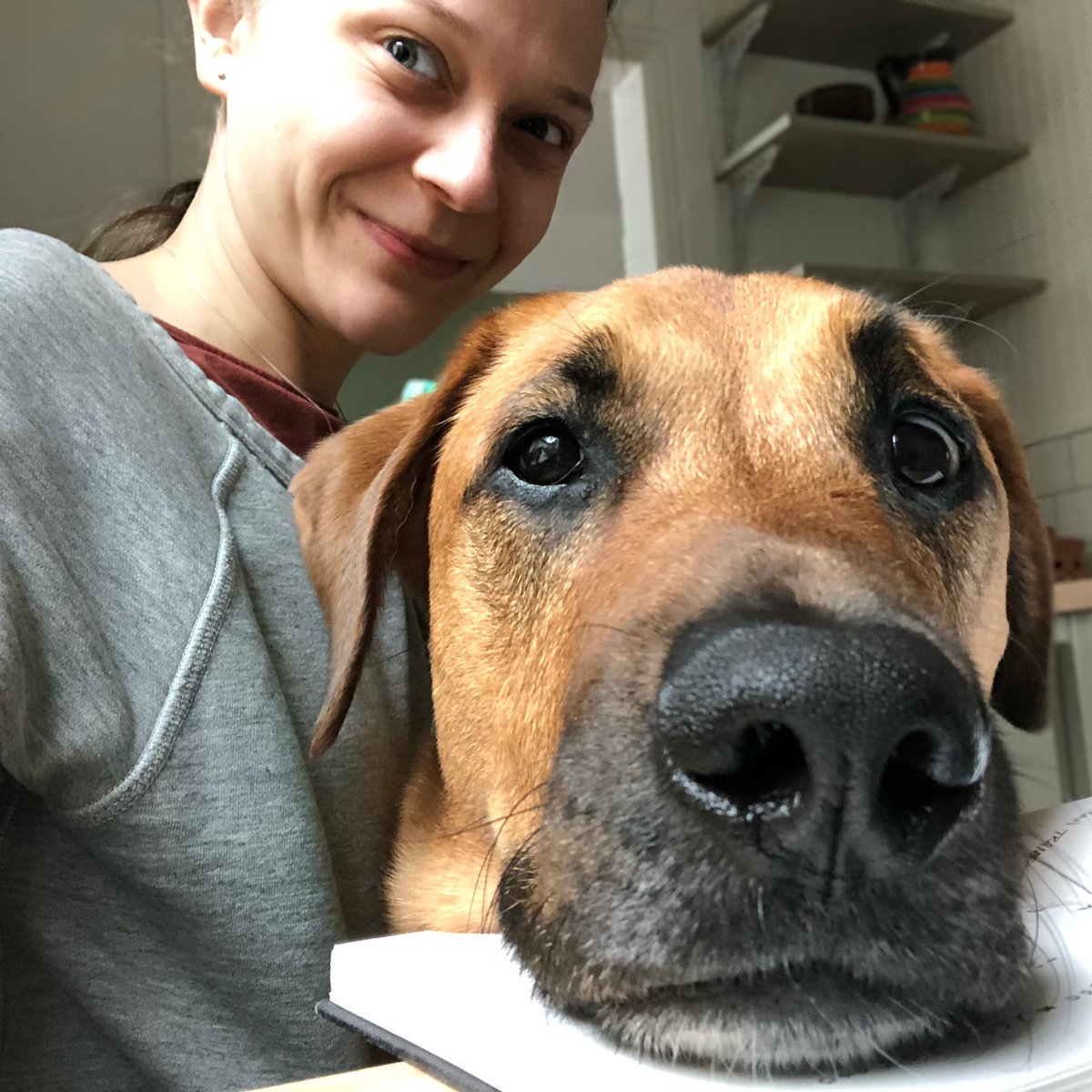 Kaitlin Statz • Writer • Podcaster tweet media