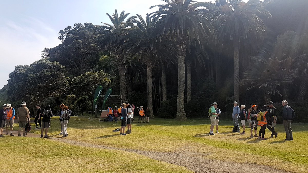 TreescapeNZ's tweet photo. The Waiheke Walking Festival is now in full swing, with the Treescape-sponsored walk "Northern Coastal Reserves Exploration" taking place on Sunday. @waiheke_walking_festival @richardmargesson #waihekeisland #lovetowalk https://t.co/KMTWECGc2t
