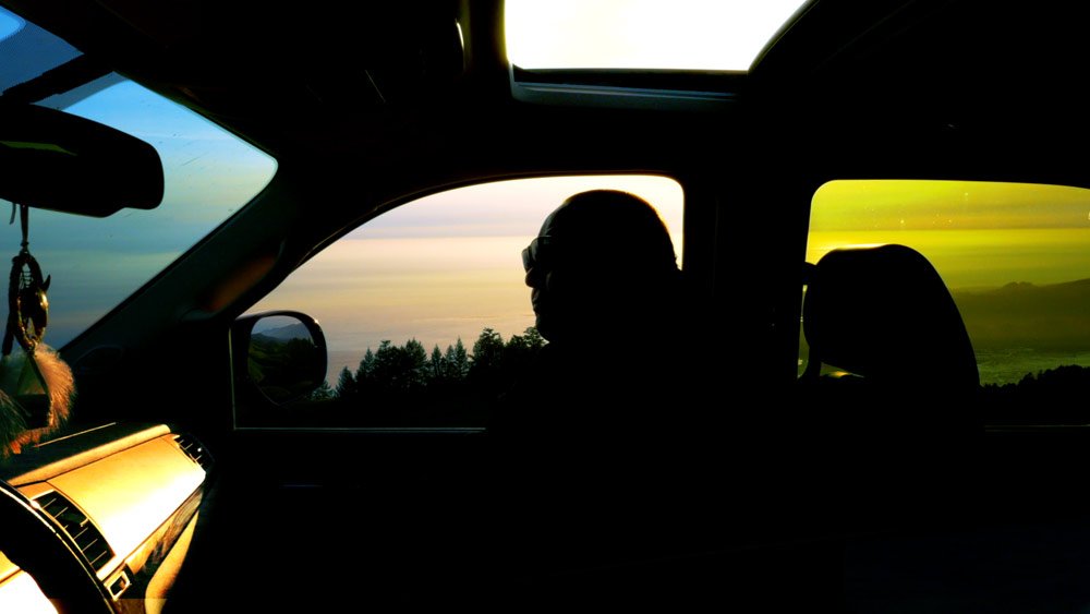 Spiders Abroad tweet media