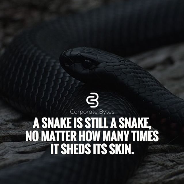 shan_mehsood's tweet photo. Motivational Quote
Follow: @shan_mehsud @shan_mehsood 
#EmergencyinJNU #OnlySidNaaz #MickeyMouse #Disney #MondayMorning #mondaythoughts #HazaraMotorway #5YearsofRheaSharma #MondayMood #faizfestival2019 #VictoryWithPositivity #jnuprotest #AsimRiyaz #KCPE2019  #Twitter https://t.co/EFhTUYEz1B
