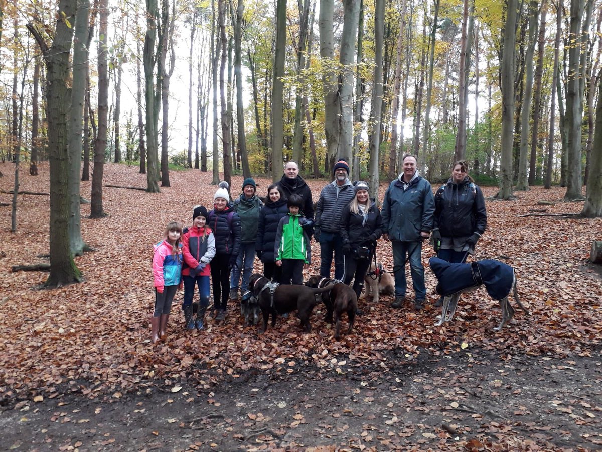 networx4business tweet media