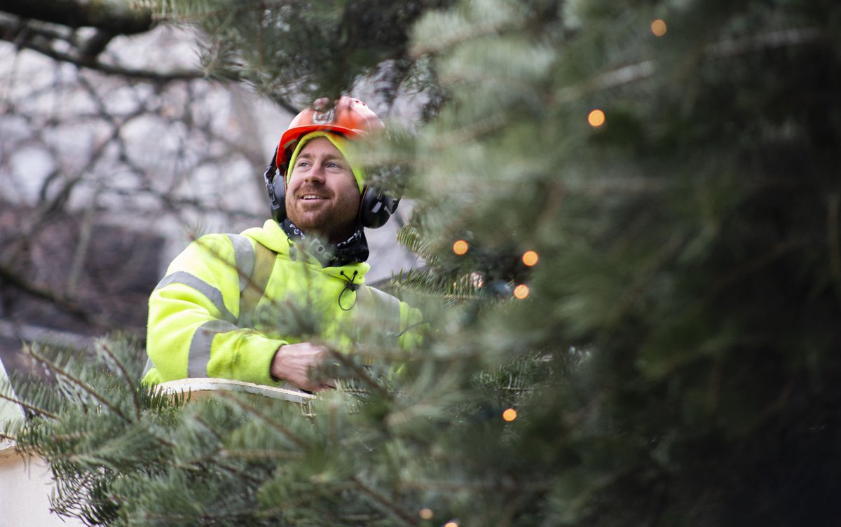 DailyCollegian's tweet photo. Finally feels like the holiday season 🌲

📸 @rjamesleavy https://t.co/cKI6i2TaWM