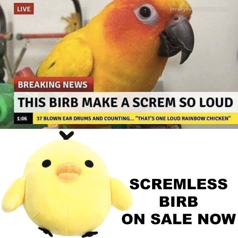 StashRiot's tweet photo. For when you love birbs but your mom won't let you get a real one.

This month only - take an extra 10% off with discount code 10NOV19

https://t.co/Hub9S3aVKf

#rilakkuma #kiiroitori #birb #kawaii #cute https://t.co/RusouXDNoT