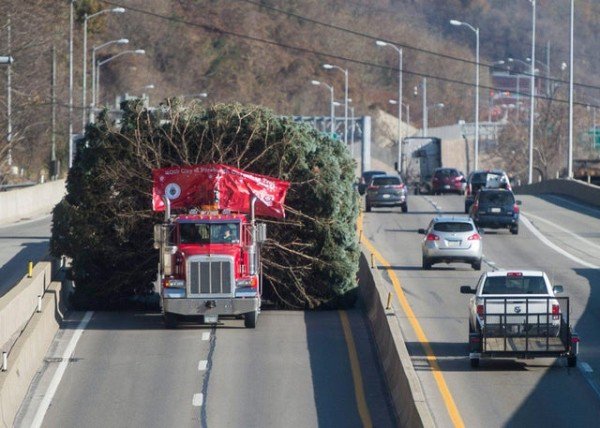 Coming thru!!!! That time of year again...Crazy 😄 #bottombetterbetheback