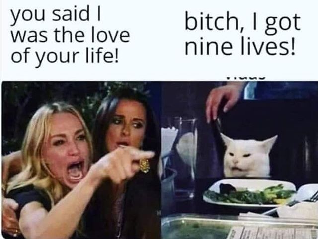 Memes254's tweet photo. Best of woman yelling at cat memes and more..
For the meme lovers in 254 🔥🔥🔥
#HarambeeStars #PressPass #KENTOG
Find link below 👇👇👇👇👇
https://t.co/yYbF5AcwBf https://t.co/sppDm7TCM6