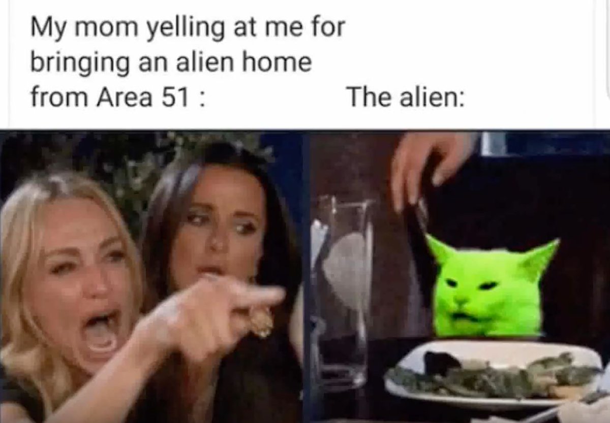 Memes254's tweet photo. Best of woman yelling at cat memes and more..
For the meme lovers in 254 🔥🔥🔥
#HarambeeStars #PressPass #KENTOG
Find link below 👇👇👇👇👇
https://t.co/yYbF5AcwBf https://t.co/sppDm7TCM6
