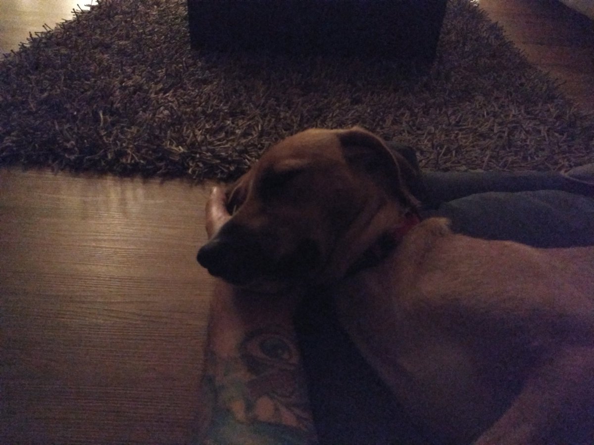 Buffmaster3's tweet image. Der Chef hat sehr weiche Hände. Kann man super drauf pennen. 

Hat wahrscheinlich noch nie hart damit gearbeitet.

Gute Nacht zusammen, der Buffmaster pennt jetzt.