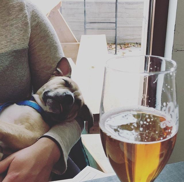 #MondayMood.

Oui Petite is now on tap!

A blond table beer that has been infused with a fruit tea from our friends at Wyestone Teas. Oui Petite contains apples, strawberries &amp; mangoes which give the beer an exotic perfumy nose &amp; complex fruity flavor profile. 4.0% ABV.