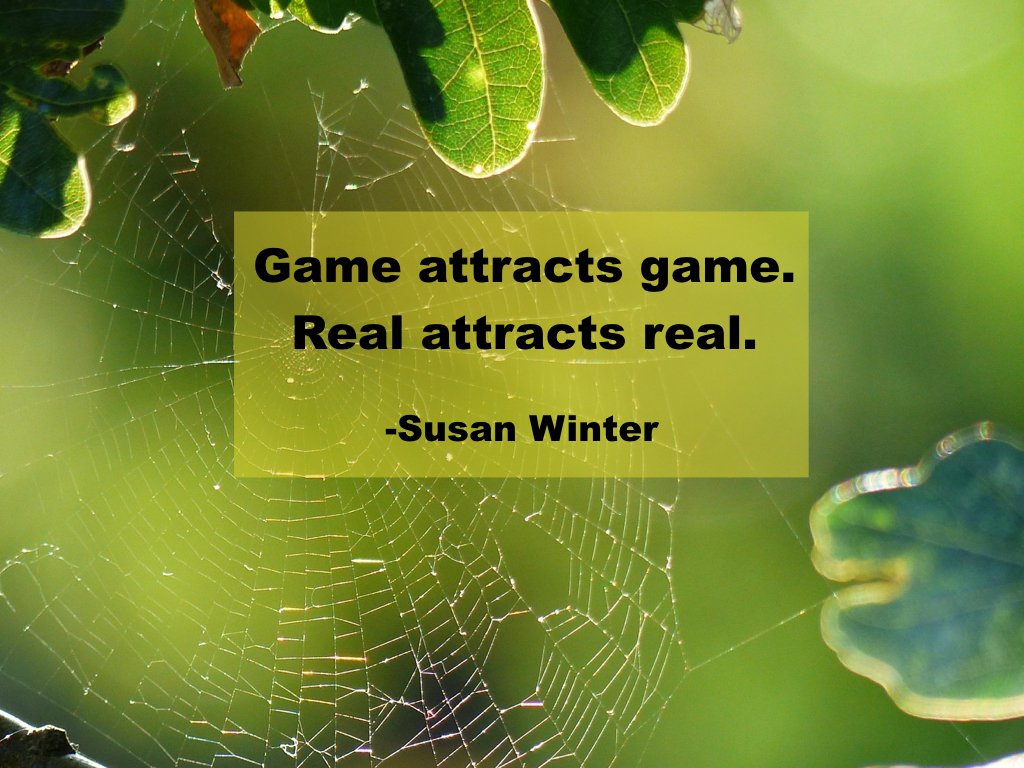 susan_e_winter's tweet photo. #quotes #dating https://t.co/V8ldXSKehu