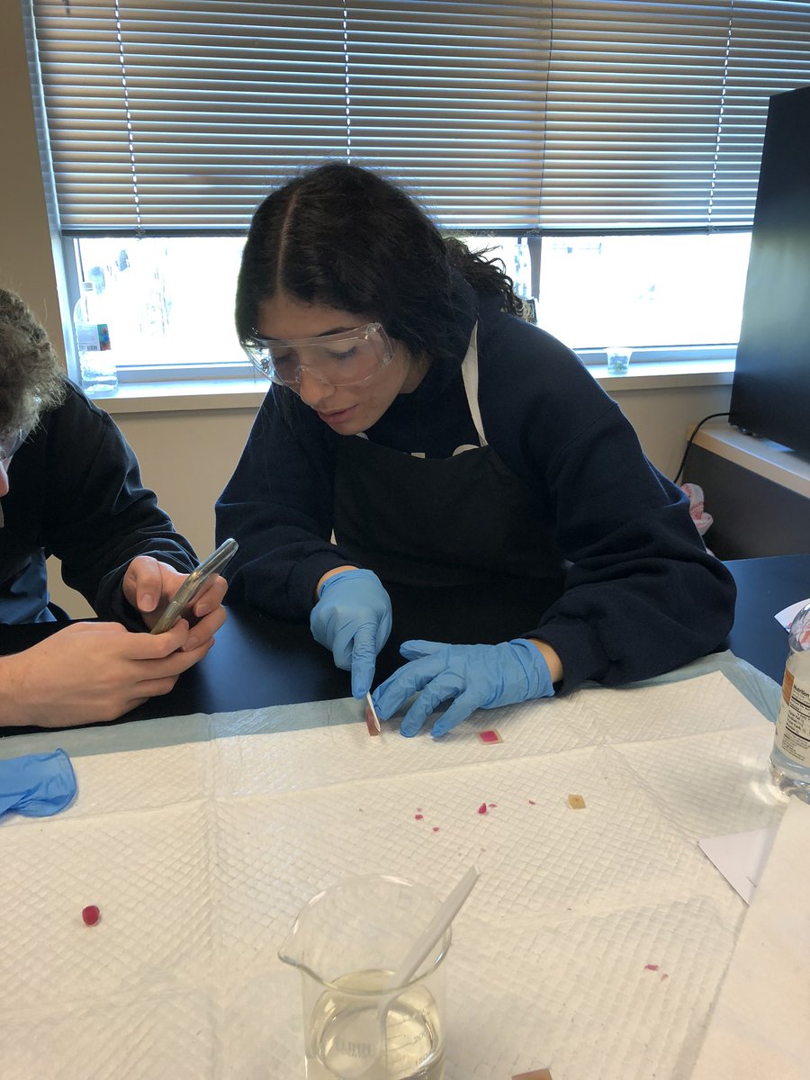 Queen_Nerdling's tweet photo. Cells lab! https://t.co/N8gpXQU1V0