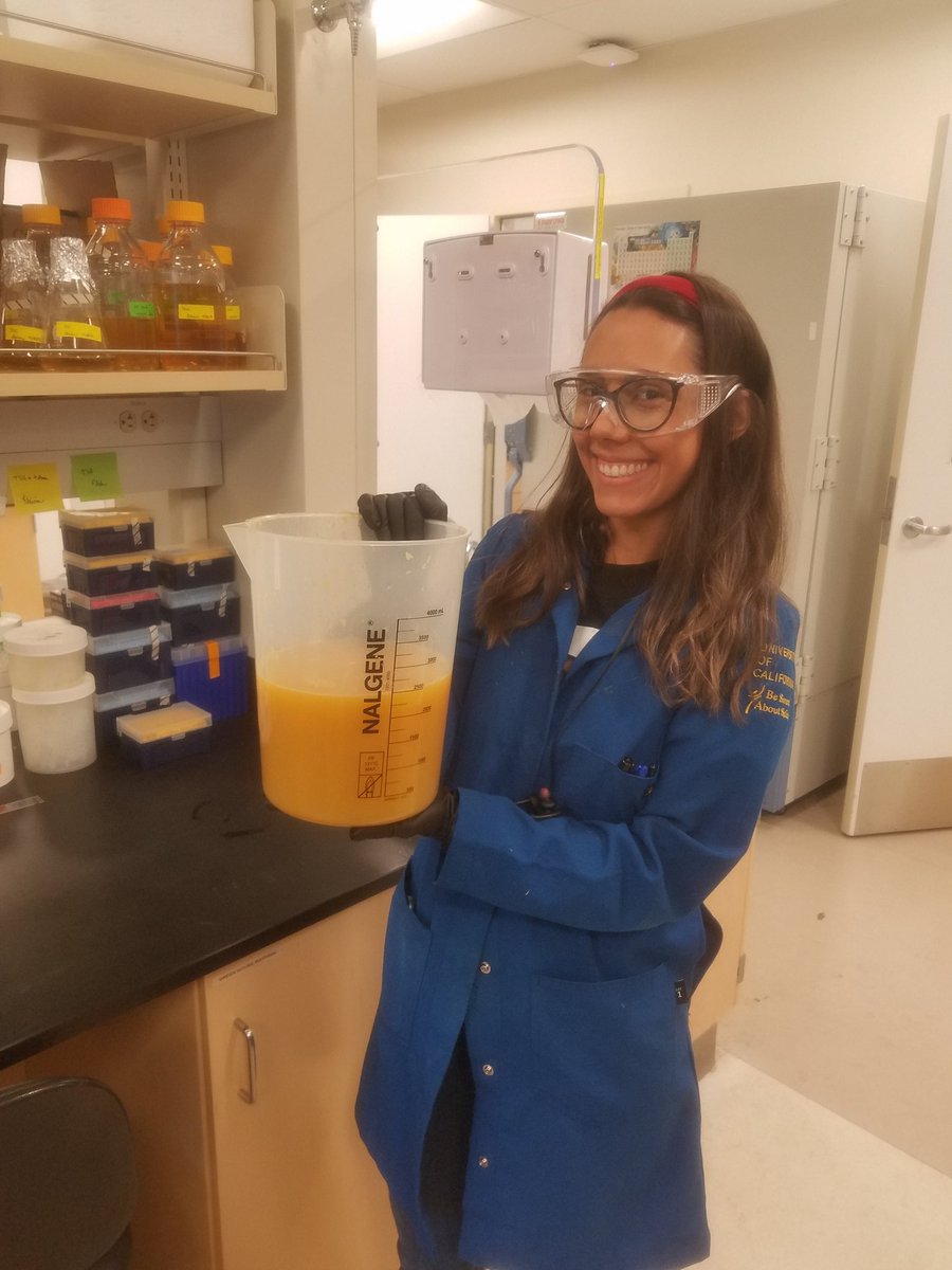 Christopher Drozd (@microbe_manager) on Twitter photo Seed collection means fresh squeezed orange juice!! <a href="/RoperLabUCR/">Roper Lab @ UC Riverside</a> #science #citrus #smellsamazing Seed collection means fresh squeezed orange juice!! <a href="/RoperLabUCR/">Roper Lab @ UC Riverside</a> #science #citrus #smellsamazing