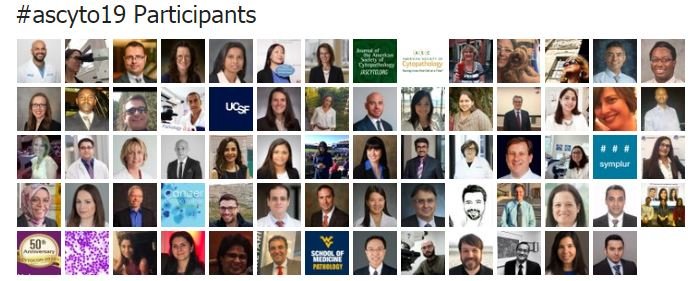 marenwhymd's tweet photo. The analytics are in: #ASCyto19 was a great meeting! Nearly 3 million impressions, over 1000 tweets, and 199 participants. Thank you #cytology friends & @cytopathology + @JASCJOURNAL! Get ready for #ASCyto20 in Orlando next year 💉🔬🌴 https://t.co/hJqJqGPwQU