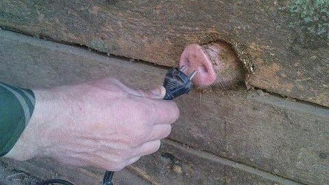 Pelicolombianas's tweet image. - #ConectateConDuque
- Como ordene, subpresidente.