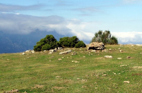 regcantabrorum's tweet photo. Seguimos de ruta #megalitica por #Cantabria 💢. Hoy desde un #yacimiento apenas conocido en Vega de #Liebana 🐾. Una necrópolis 💀 entre verdes montañas ⛰ y praderas donde el ganado 🐂 disfruta de panorámicas milenarias #Combranda #arqueologia #FelizLunes https://t.co/l490vJmqWl https://t.co/faEvFPhifV