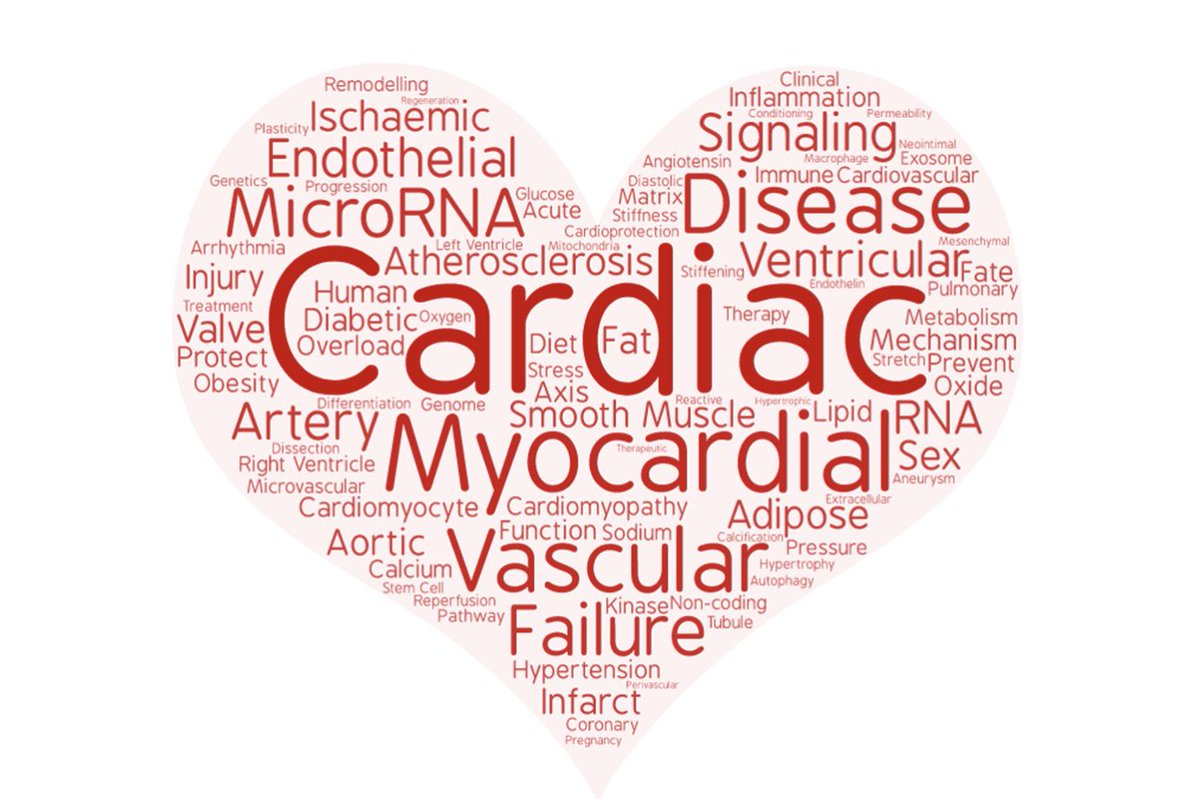 What topics are trending in #CardiovascularResearch? We’re looking at the top 100 cited articles and HOT TOPICS in basic and translational #science 
More here: bit.ly/2NR0ZD1
@ESC_Journals @escardio #AHA19 #CVD #CardioTwitter
