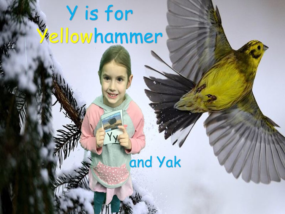 DoInkTweets's tweet photo. RT @CharltonTechy: Animal alphabet book #greenscreen fun with Mrs. Foley's kindergarten friends Part 2 @MrsFoley_CES #DoInkTweets
Check out our class blog at https://t.co/3dpcrrj8n2 for pictures from the whole class :) https://t.co/TduooRWRw3 #doink #everyonecancreate