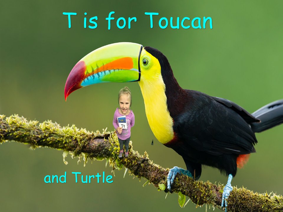 DoInkTweets's tweet photo. RT @CharltonTechy: Animal alphabet book #greenscreen fun with Mrs. Foley's kindergarten friends Part 2 @MrsFoley_CES #DoInkTweets
Check out our class blog at https://t.co/3dpcrrj8n2 for pictures from the whole class :) https://t.co/TduooRWRw3 #doink #everyonecancreate