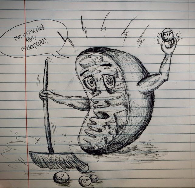 CNeurochem's tweet photo. Such artists we have in #Neurochem! 👏👏👏  #artstract #concussion #cornmn
The Fragile Mind – Why Concussions Shouldn’t be Underplayed  https://t.co/SWN9ebfM3X https://t.co/TEIV3ugr1J