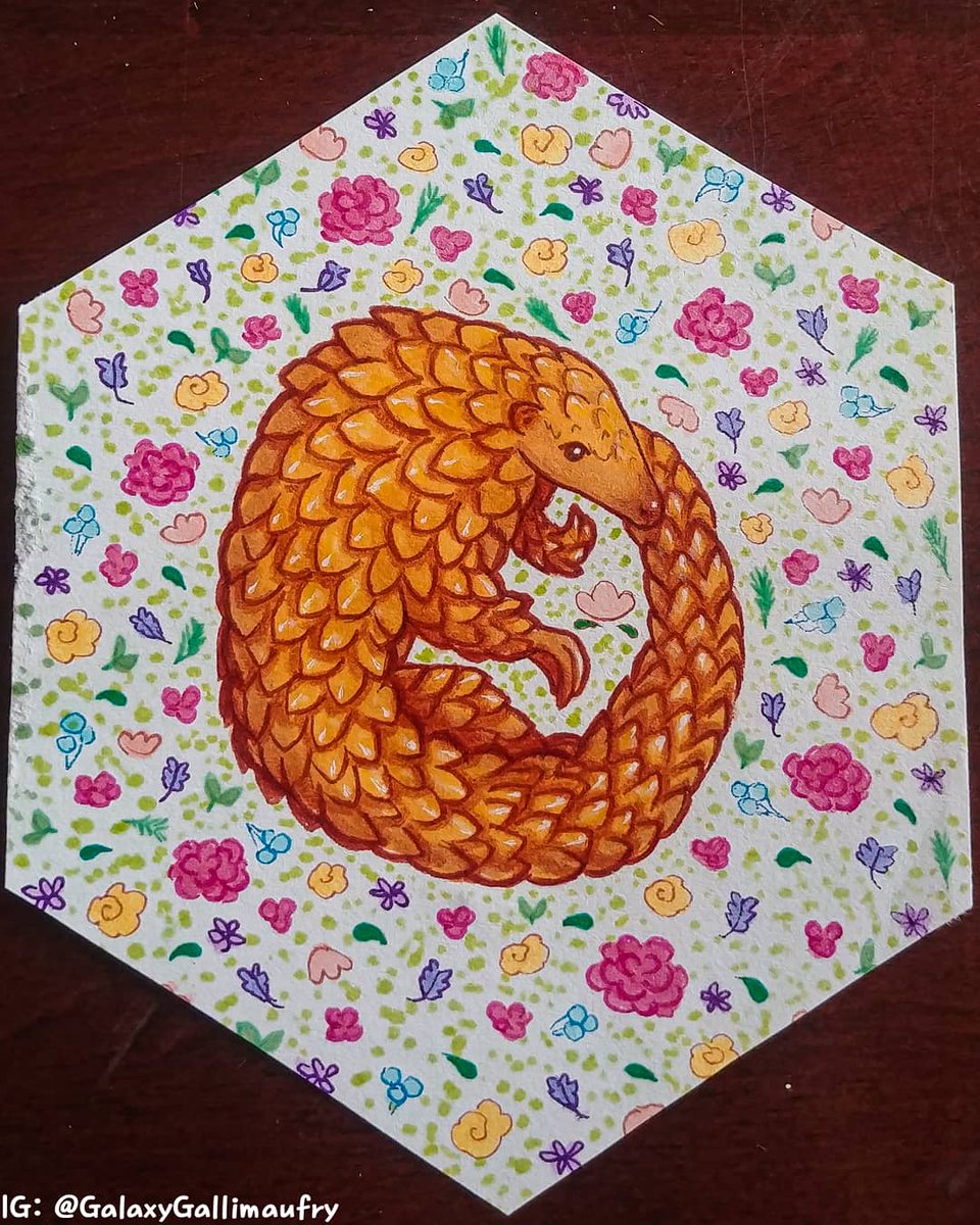 galaxygal_ds's tweet photo. There's an endangered species art challenge on Instagram this week and the first creature to draw is a pangolin. They really are quite cute! #endangeredweek #endangeredanimalsweek #cuteart #ArtistOnTwitter #artistsoninstagram https://t.co/ekn0zxCMvm