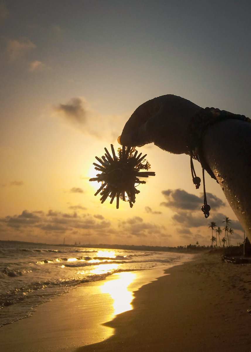 wixane's tweet photo. #beachday Shots all taking with my phone #mobilephotography #mobigraphy https://t.co/NkFI7bF6OK