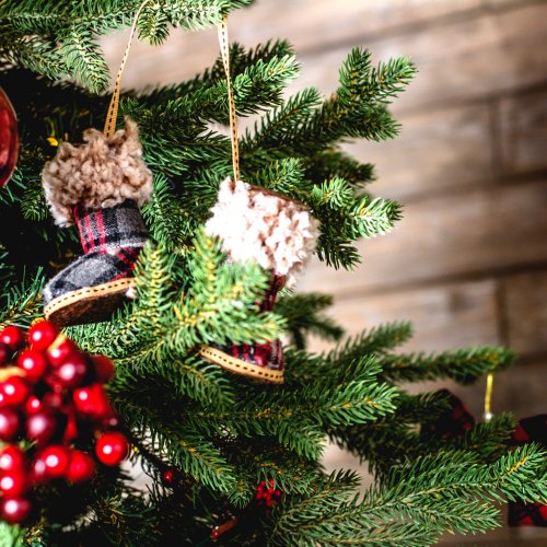 Cheetah_Digital's tweet photo. It's beginning to look a lot like... first-party data! Learn how @hallmarkchannel and @balsamhill are working together to launch their annual keepsake ornament giveaway, using Cheetah Experiences’ countdown reveal feature: https://t.co/roDCngOAbK https://t.co/tJVknxrX92
