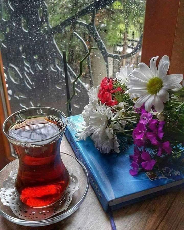 yolcu_45's tweet photo. Pencere önü çay mevsimidir kış.  
Bardağına dem, yüreğine gam dolar..
İyimi geceler? https://t.co/FJUhdZA5jT