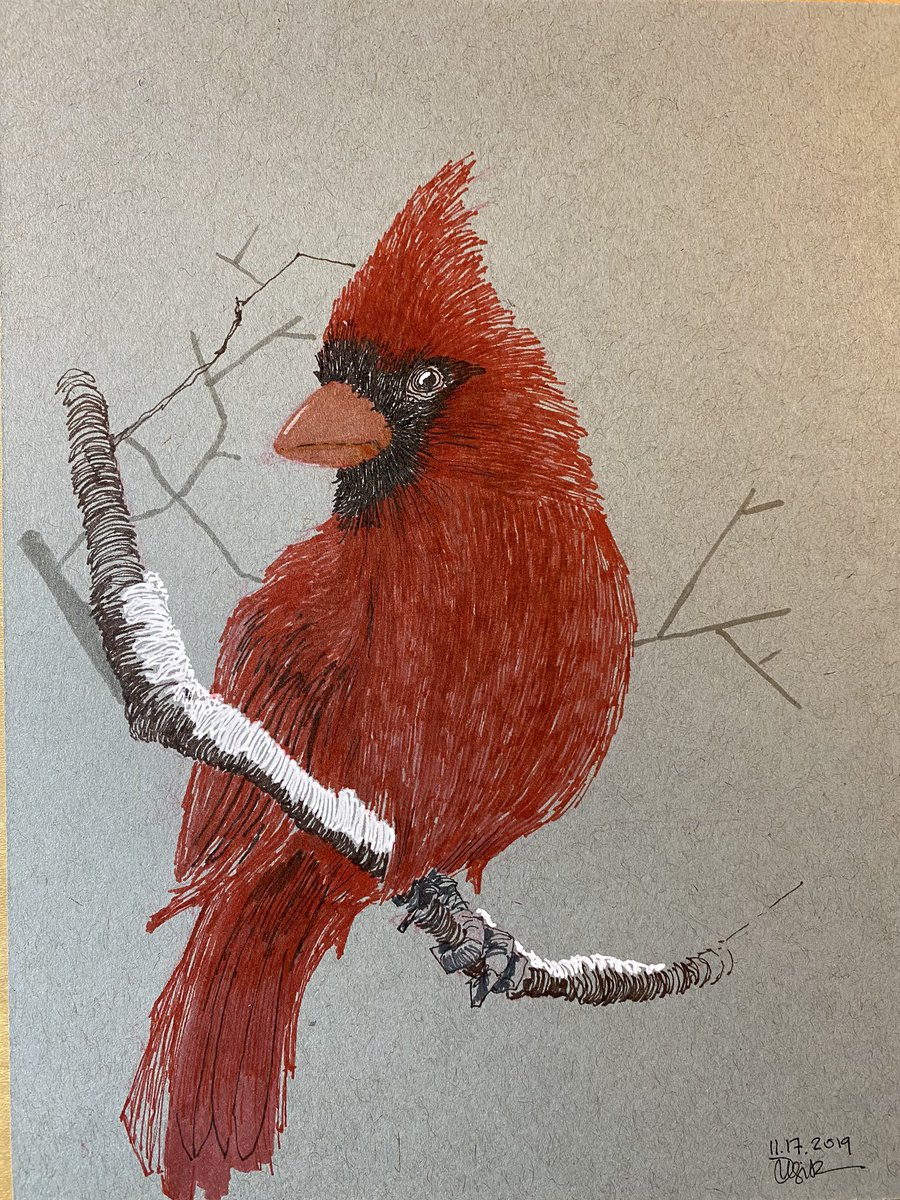 #Sketching a #cardinal hanging out in the #snow as we get closer to #winter
.
.
.
.
.
#art #illustration #doodlebags #doodle #draw #drawing #sketch #nashville #nashvilleartist #nashvilleart #handsketch #doodlebags #redbird #snow #snowbird #bird #birdsketch