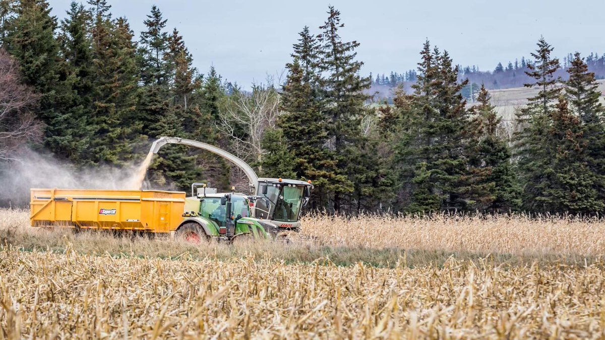 Alan Frizzell tweet media