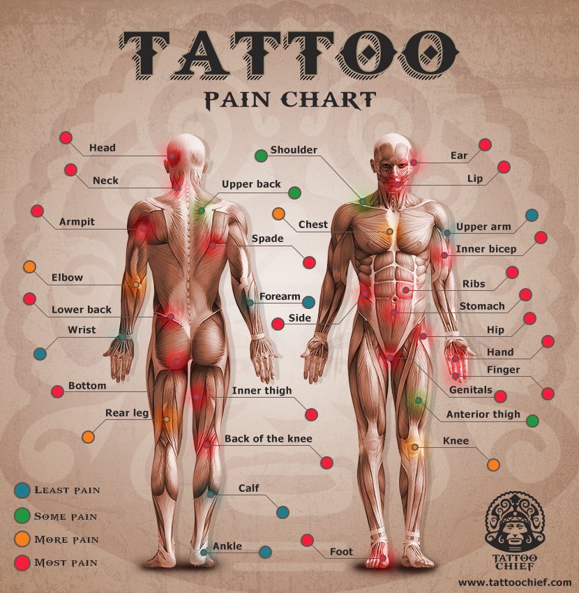 Binni Anore on X: "Tattoo pain chart Inner Bicep was painful https://t.co/m2PJBrZPwd" / X