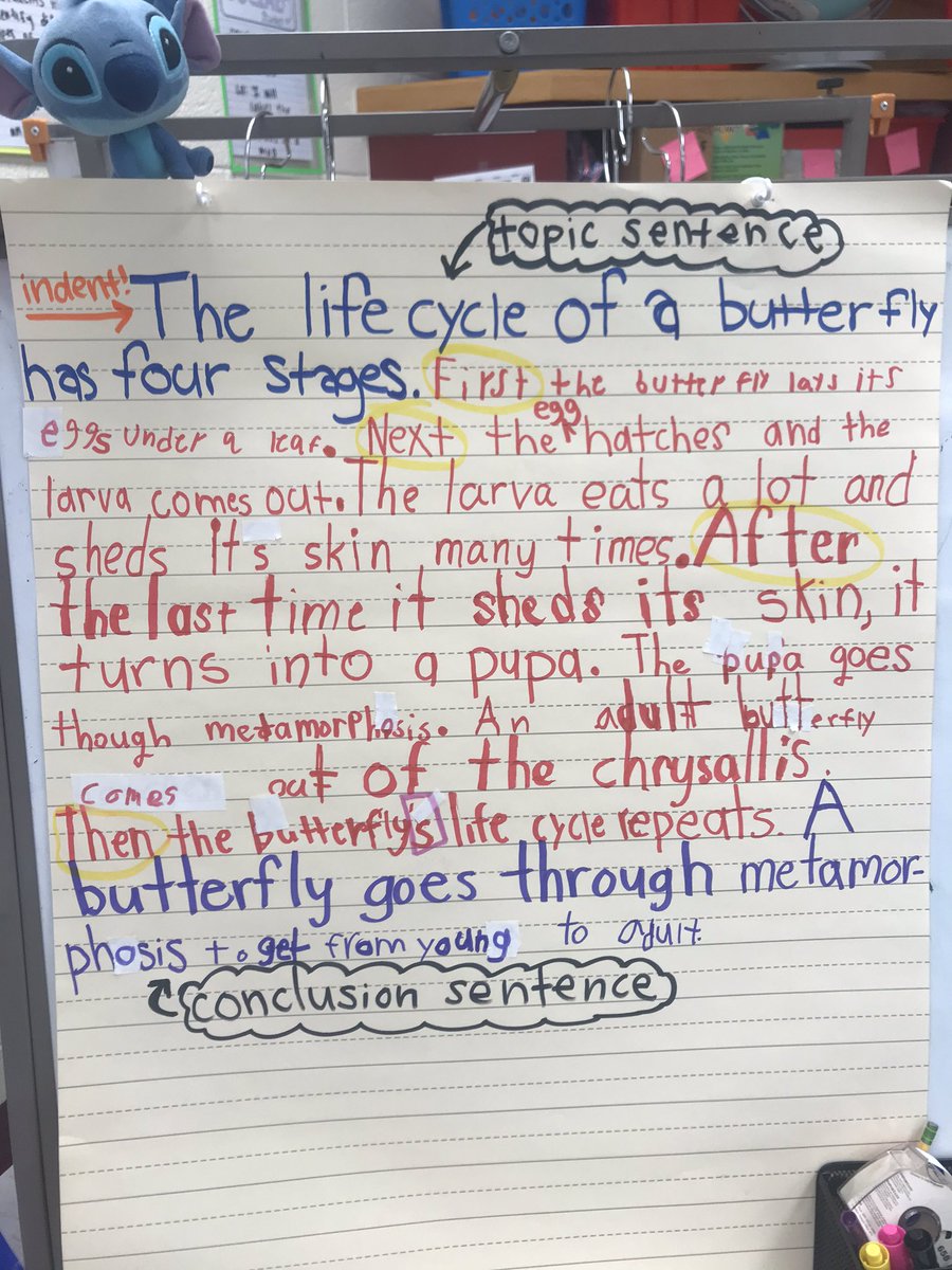 MsDannyHarro's tweet photo. Completed our first interactive writing as a class, focusing on how to write a good paragraph while reviewing the life cycle of a butterfly. It wasn’t perfect but neither is the writing process! #Dalecityroars #positivelypwcs #interactivewriting #3rdgrade https://t.co/meUDHg46Ff