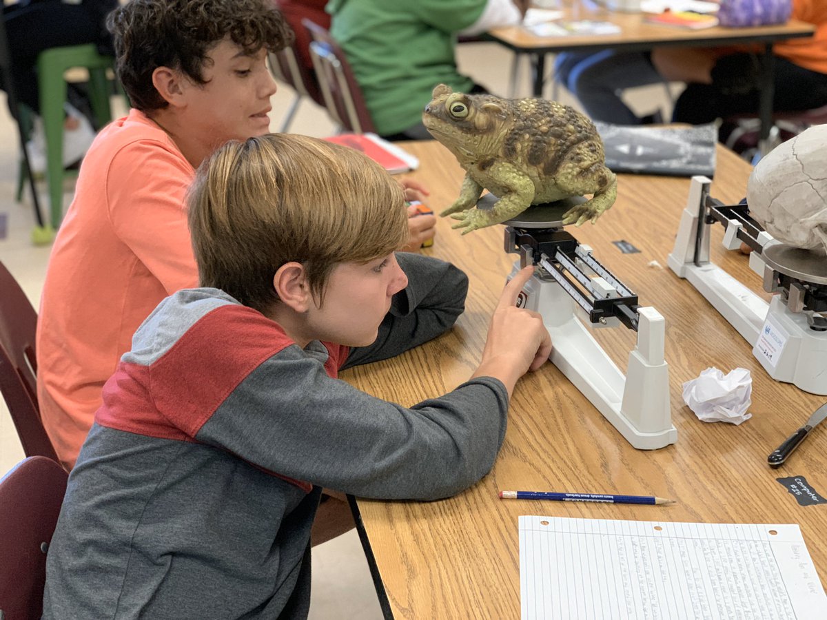 apositiveproton's tweet photo. When you tell 8th graders they can measure the mass of whatever they want to, they sure come up with some creative ideas! #sciencewithscofield #chemsitry #measuringmass #triplebeambalance #middleschool #8thgrade #whyilovemideschool @SVViperPride @DVUSD https://t.co/MCxSbuDKen