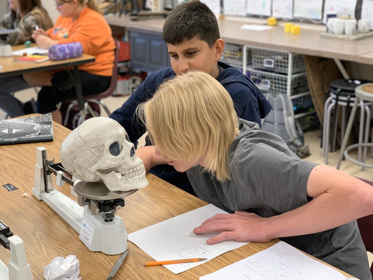 apositiveproton's tweet photo. When you tell 8th graders they can measure the mass of whatever they want to, they sure come up with some creative ideas! #sciencewithscofield #chemsitry #measuringmass #triplebeambalance #middleschool #8thgrade #whyilovemideschool @SVViperPride @DVUSD https://t.co/MCxSbuDKen