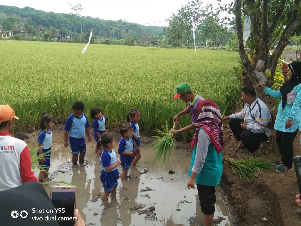 dispertan_smg's tweet photo. Pengenalan lingkungan hidup kepada paud Permata Hati di Kebun Tambangan UPTD Dinas Pertanian Kota Semarang. Mulai dari pengenalan tan sayur, menanam padi, memerah susu.
#pertanian #dispertan #pemkotsemarang #kotasemarang #organik #peternakan https://t.co/2X3hScd92m