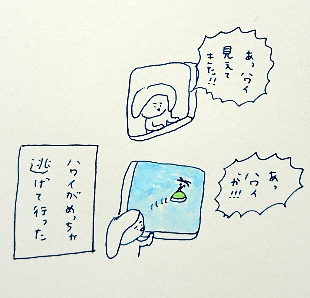 今日のハワイ夢 