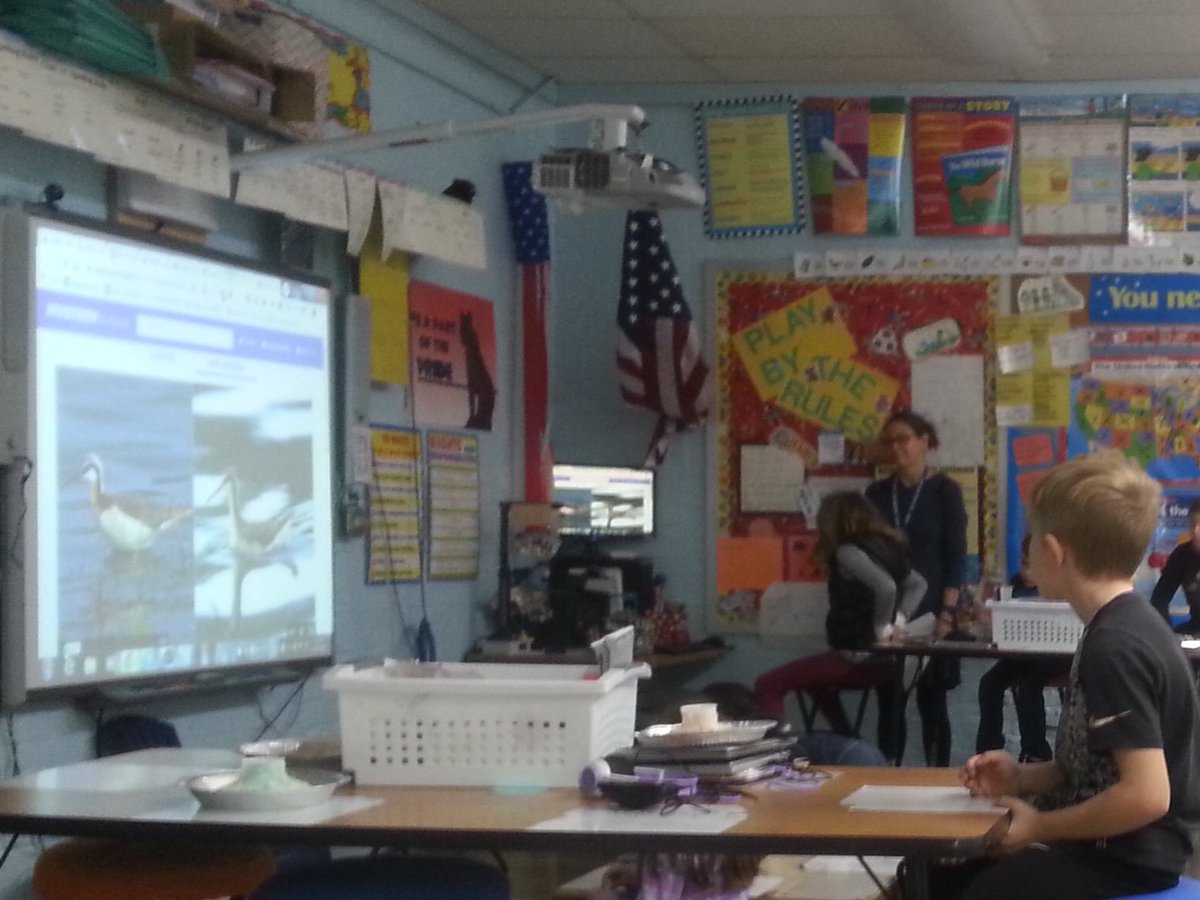 Gr2H2016's tweet photo. Tweeter1 wanted to show us learning in math, about turkeys from @mysterydoug, &amp; a classmate being recognized today for being a good student. #learningtogether @PanaCUSD8 @KHahnenkamp https://t.co/L5ZIDHUkXt