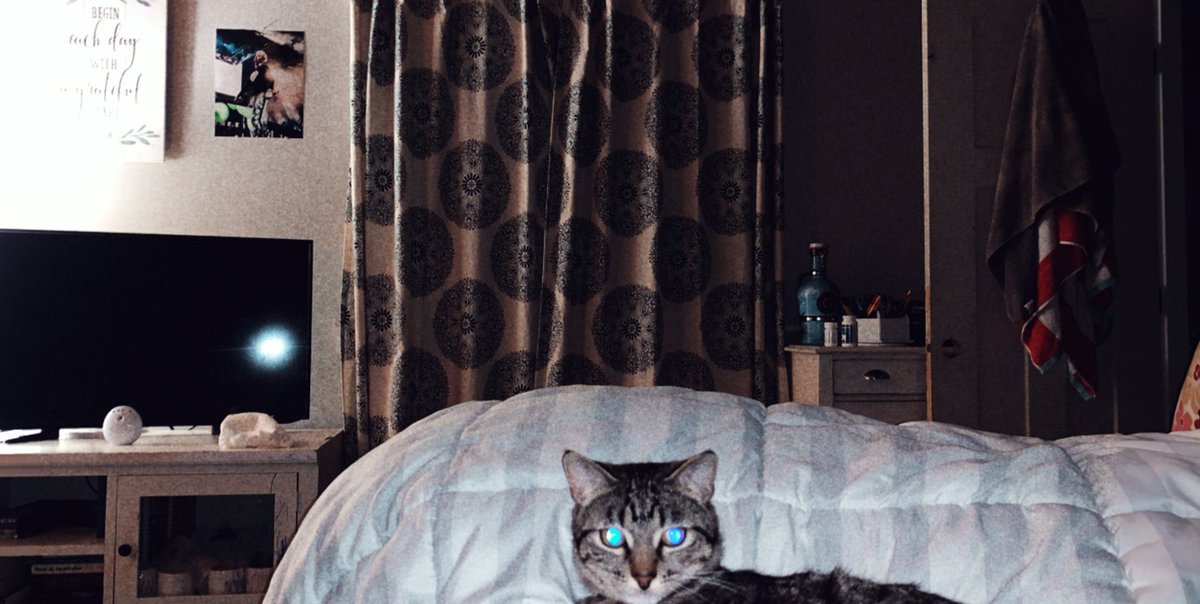 tay_sec's tweet photo. Peep my new photo of Mr. Colson Baker 🐈🃏  Oh and the cat is pretty cute! https://t.co/vj5RpLmOfN
