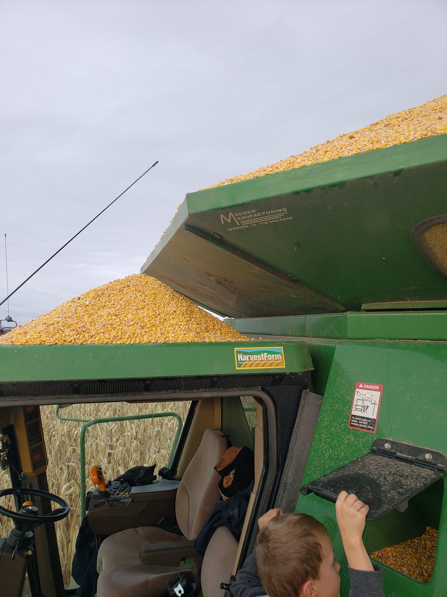 This is what happens when the full alarm has a malfunction in 185 bushel <a href="/Maizex/">Maizex Seeds</a> corn!!!