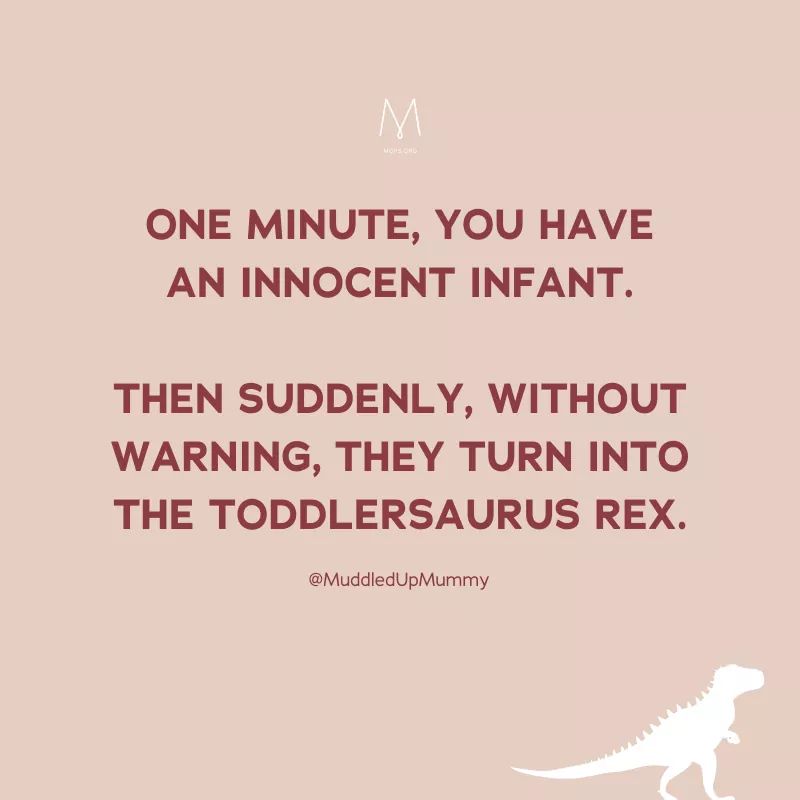 CopperfieldMOPS's tweet photo. 👶---->🦖

You deserve a break, mama! Come join us for an Amazing year! 

#copperfieldmops #tothefull #findyourpeople #fearless #havemorefun #sisterhood #area12mops #thisismotherhood #momlife #cypresstx https://t.co/7Jw4a2wISc