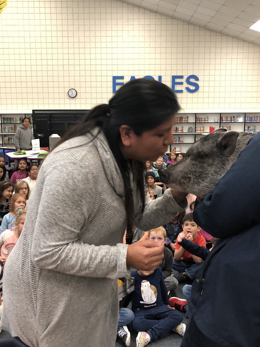 MDerrickReads's tweet photo. Tank this pig was all puckered up for our October Reading Challenge winners!!! Thank you so much teachers and admin for participating and being great sports! #LibraryPromise @perlaedelgado @FeldhausSuzanne https://t.co/eYNLAA77XI