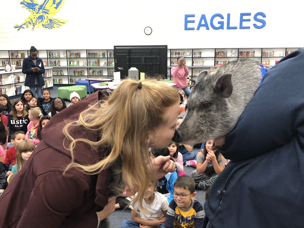 MDerrickReads's tweet photo. Tank this pig was all puckered up for our October Reading Challenge winners!!! Thank you so much teachers and admin for participating and being great sports! #LibraryPromise @perlaedelgado @FeldhausSuzanne https://t.co/eYNLAA77XI
