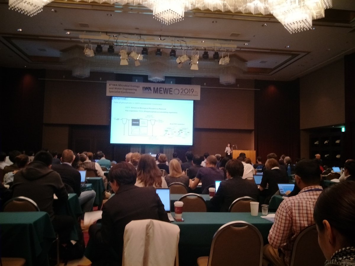 PHNielsen Lab tweet media