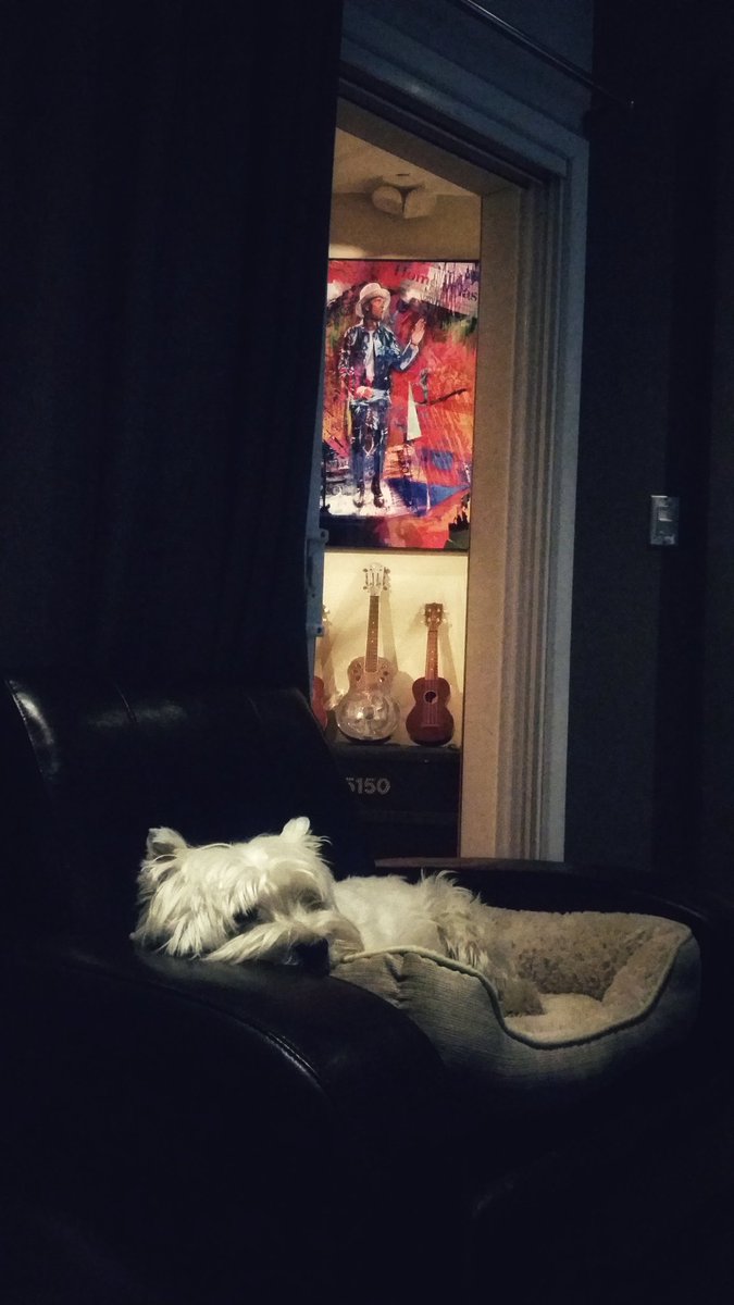 Just another day downtown at Post.

#westie #westhighlandterrier #westiesoftwitter #dogsoftwitter #officedog #postproductionpup #televisionproduction #toronto