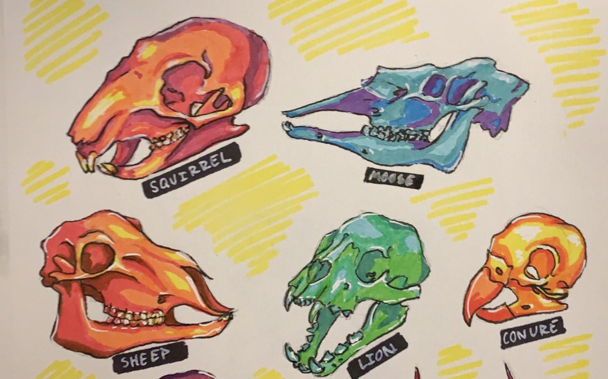 elfenthusiast's tweet photo. Skullssss (all of these are up as stickers on my redbubble, wink wink) #skull #vultureculture https://t.co/5o19YtQiID