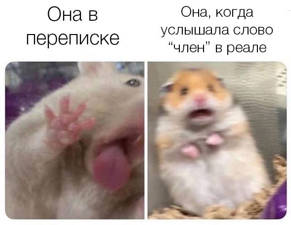 ЗЭЧКА 🤘🏿👸🏿 tweet media