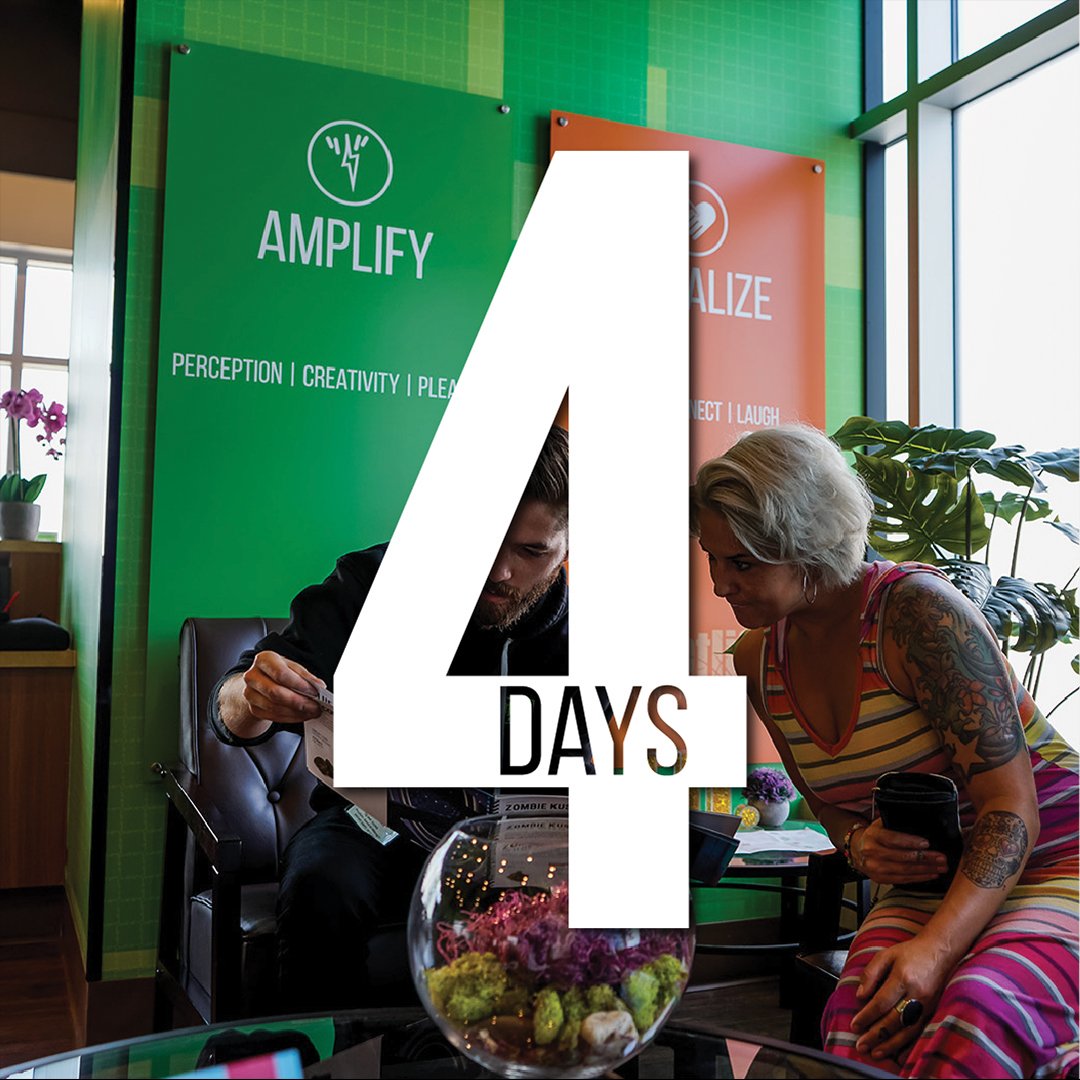 plantlifecanada's tweet photo. In four days our 13th and 14 locations will be OPEN!! #Edmonton Sunwapta and Terra Losa will both be opening at 4:20pm on Friday,  Nov. 22nd. Mark your calendars West Edmonton!

#YEG #WestEdmonton #TerraLosa #Sunwapta https://t.co/kFaCtrhzc4