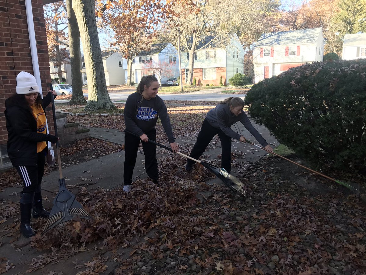 NDCsoftball's tweet photo. Giving back to the community by raking leaves for others 🍁🍂🍃#rakeitup #communityservice #MECgivesback https://t.co/QTdzl2CPMF